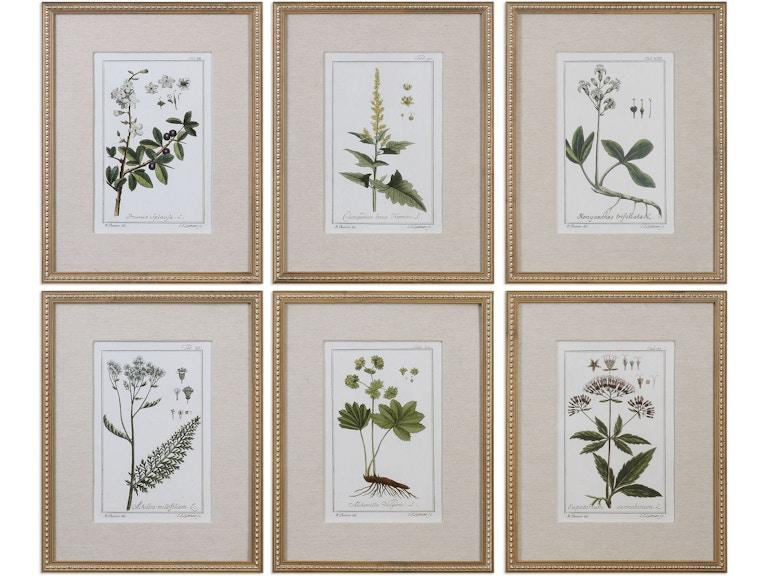 norrwood Uttermost Art Green Floral Botanical Study Prints Set/6 33651 at Norwood Furniture