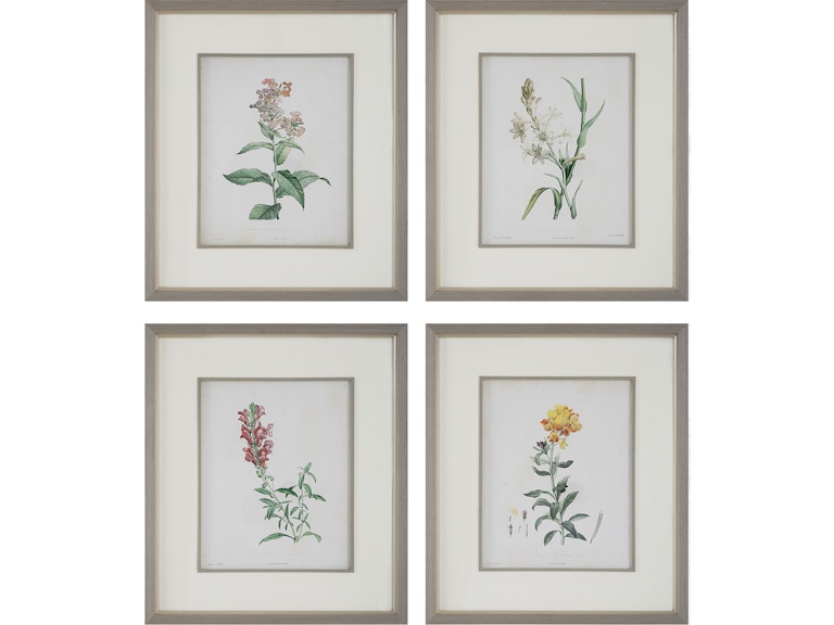 norrwood Uttermost Art Heirloom Blooms Study Framed Prints Set/4 32285 at Norwood Furniture