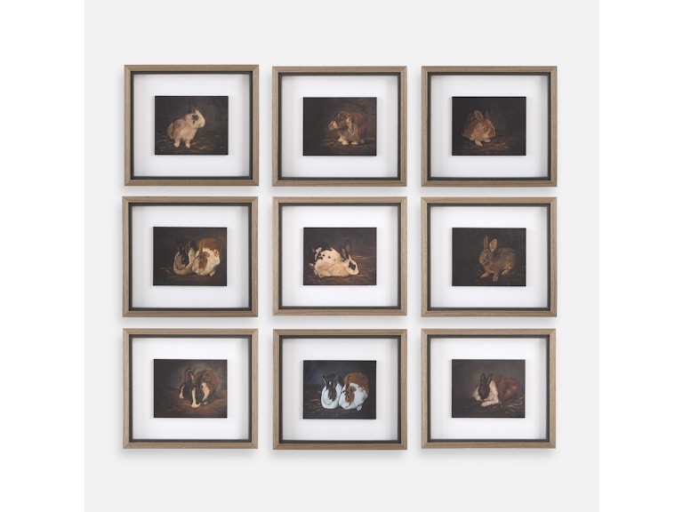 norrwood Uttermost Art Resting Bunny Framed Prints Set/9 32386 at Norwood Furniture