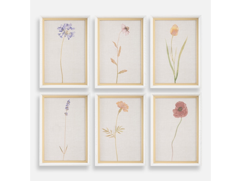 norrwood Uttermost Art Wild Flourish Framed Floral Prints Set/6 32384 at Norwood Furniture