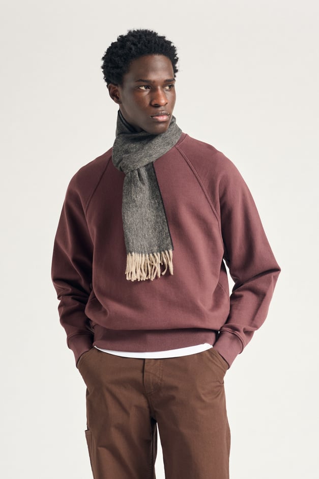 norse projects Tyr Relaxed Organic Loopback Raglan crew