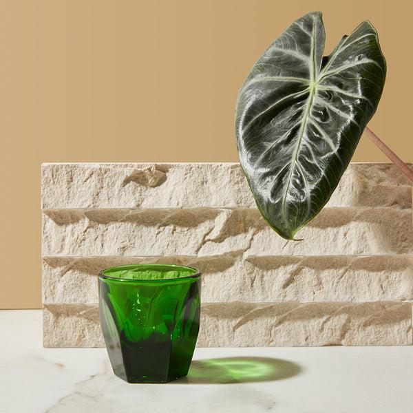 Notneutral Vero Cortado Glass Emerald