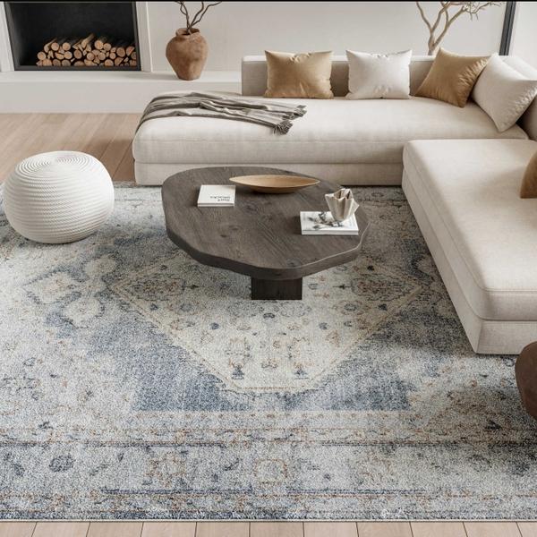 nourison Astra Machine Washable Persian Medallion Light Blue Rug ASW11 Home