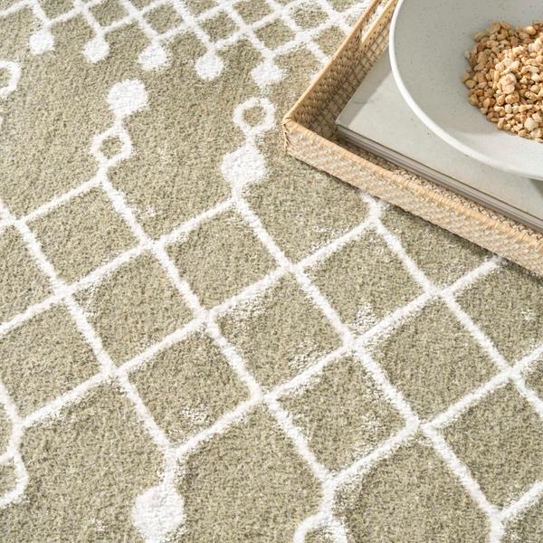 Nourison Astra Machine Washable Sage Indoor Only Moroccan Rug ASW10