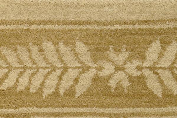 Nourison CHATEAU NORMANDY NO11 BEIGE BORDER BROADLOOM CARPET