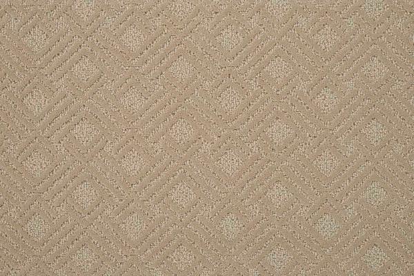 Nourison CLASSIQUE GRAPHIQUE GRPQ PRAIRIE BROADLOOM CARPET