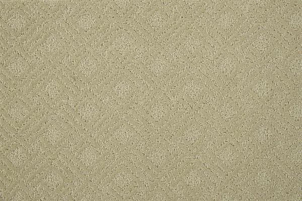 Nourison CLASSIQUE GRAPHIQUE GRPQ SPRING BROADLOOM CARPET