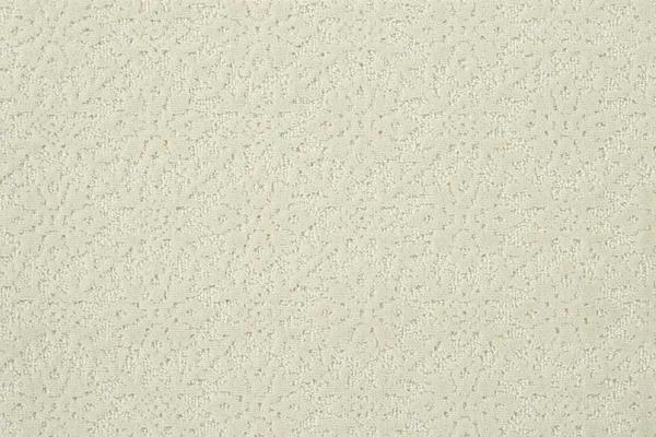 Nourison CLASSIQUE JARDIN JADN IVORY BROADLOOM CARPET