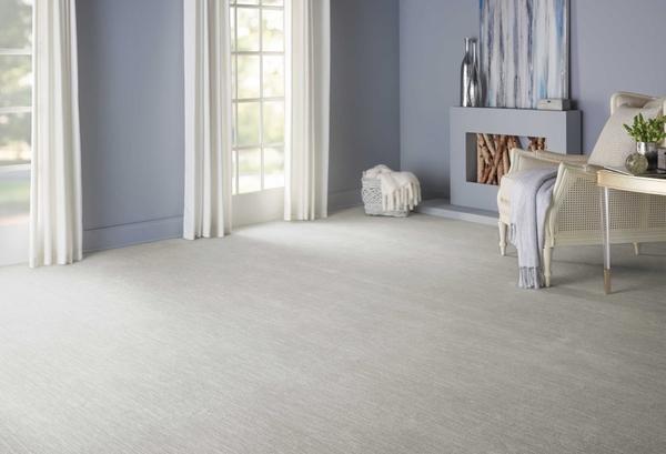 nourison ELEGANCE VELVET CHIC VLVCH STERLING BROADLOOM CARPET