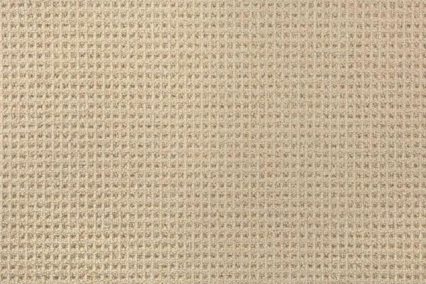 Nourison ELEMENTS CANYON CANY FLAX BROADLOOM CARPET