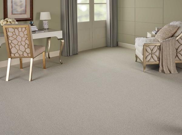 nourison ELEMENTS CANYON CANY SILT BROADLOOM CARPET