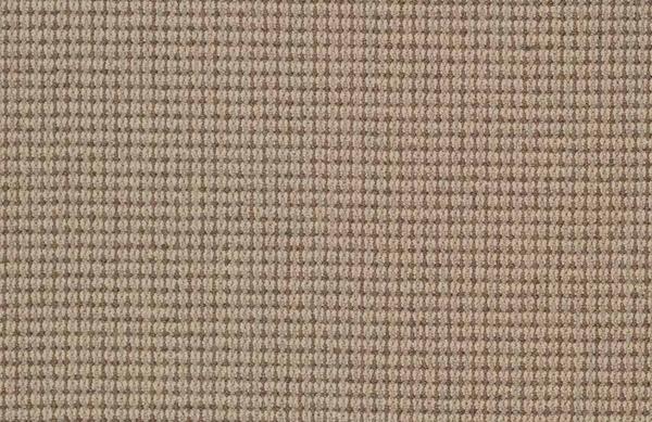 Nourison EXPRESSIONS NEXUS 2 NEX2 OAT BROADLOOM BROADLOOM CARPET
