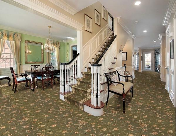 Nourison GRAND PARTERRE GRAND FLORA VA01 OLIVE BORDER BROADLOOM CARPET