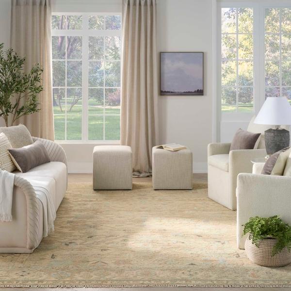 nourison Heritage Vine Beige Indoor only Persian Rug HTV01