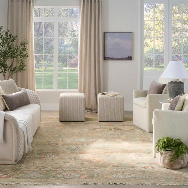 nourison Heritage Vine Charcoal Indoor only Persian Rug HTV05