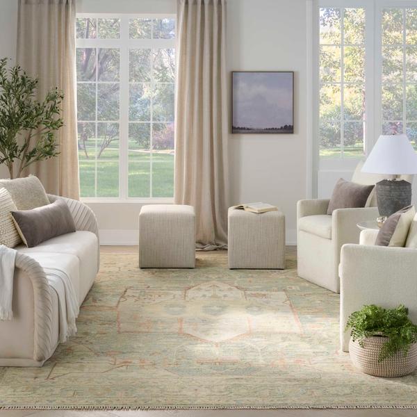 nourison Heritage Vine Light Blue Indoor only Persian Rug HTV03