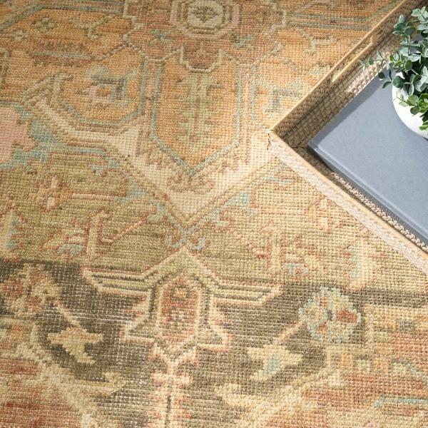 Nourison Heritage Vine Rust Indoor Only Persian Rug HTV06