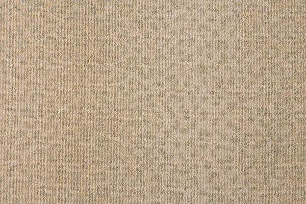 Nourison LUSTERPOINT LEOPARD POINT LPDPT SAVANNAH BROADLOOM CARPET
