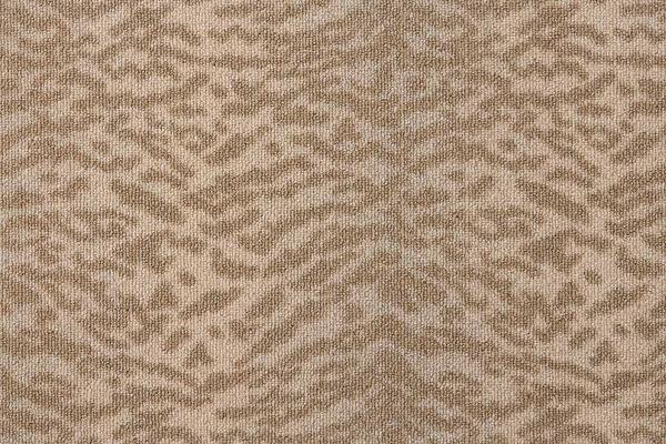 Nourison LUSTERPOINT TIGER POINT TGRPT BRUSH BROADLOOM CARPET