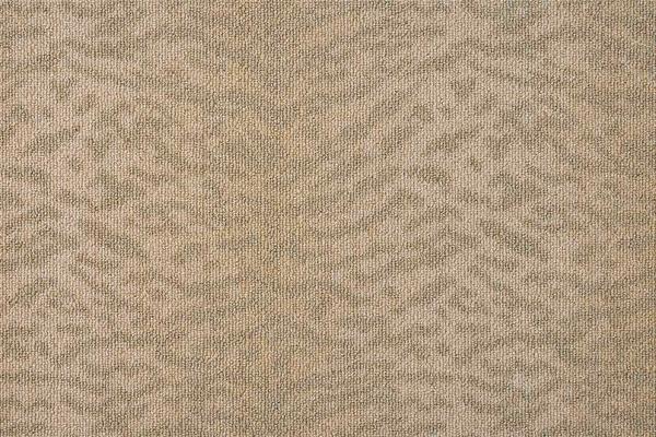 Nourison LUSTERPOINT TIGER POINT TGRPT SAVANNAH BROADLOOM CARPET