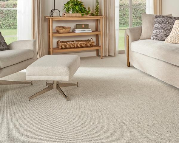 Nourison BIG SKY 1665J IVORY/LIGHT GREY