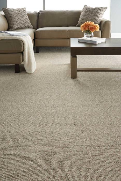 nourison DAKOTA DKOTA STONE BROADLOOM CARPET