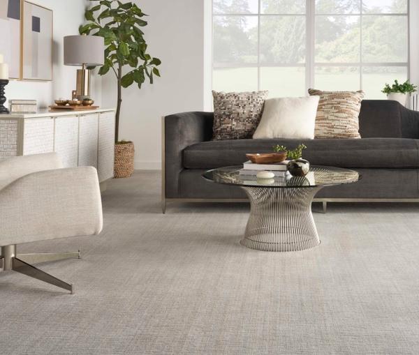 Nourison DANBURY TEXTURE DBTXT ASH