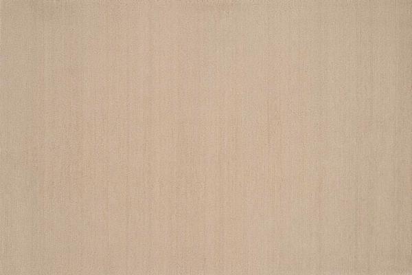 Nourison GRAND VELVET PT99 SHELL BROADLOOM CARPET