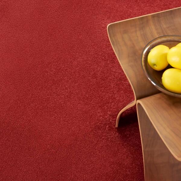 Nourison Nourison Home ESSENTIALS NRE01 BRICK RED AREA RUG