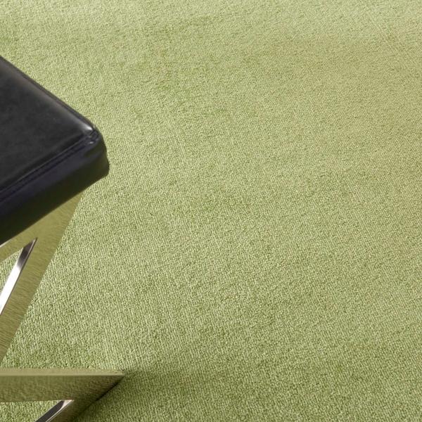 Nourison Nourison Home ESSENTIALS NRE01 GREEN AREA RUG