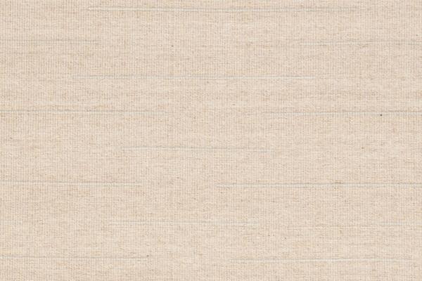 Nourison INTERWEAVE IWV01 BEIGE