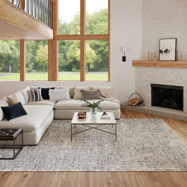 Nourison LUNA LUN01 GREY SILVER AREA RUG