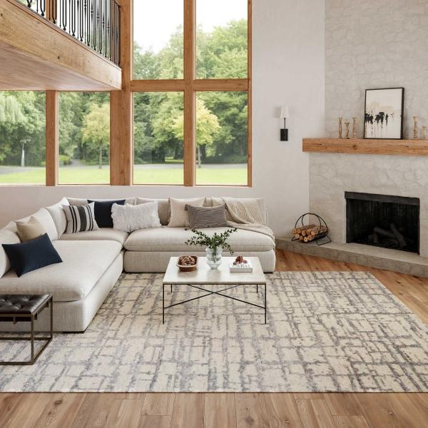 Nourison LUNA LUN02 IVORY GREY AREA RUG