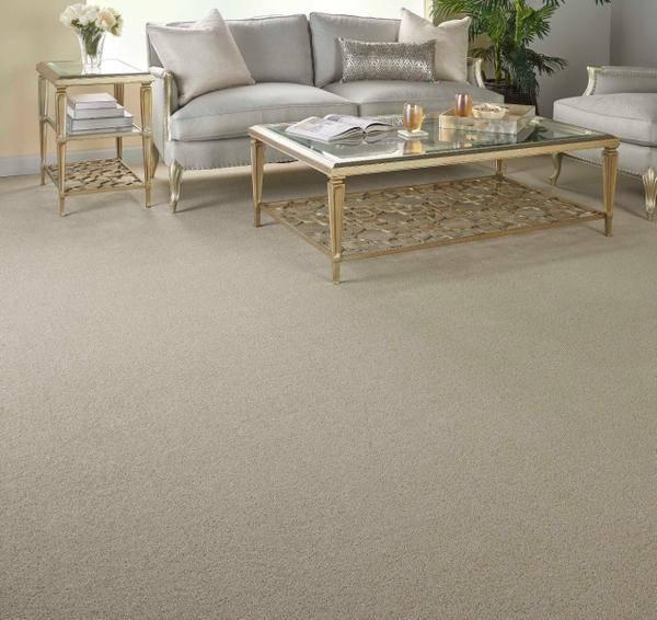 Nourison MAJESTY 2 MAJS2 POTTERY BROADLOOM CARPET