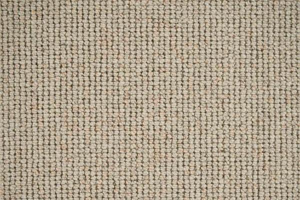 Nourison SEQUOIA SEQUO OATMEAL BROADLOOM CARPET