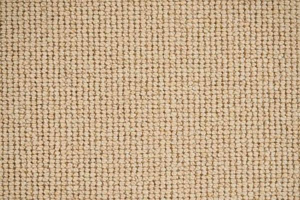 Nourison SEQUOIA SEQUO STRAW BROADLOOM CARPET