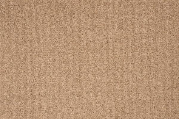 nourison WOOL TIP SHEAR II L0030 CANVAS