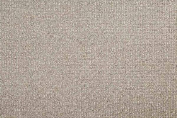 Nourison PACIFIC TWEED PACTW PASTURE BROADLOOM CARPET
