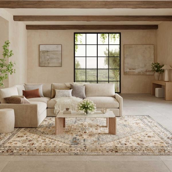 Nourison Pardis Blue Taupe Indoor Only Persian Rug PRD02