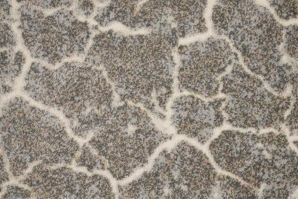 Nourison PERSPECTIVES STONE STNPR COBBLESTONE BROADLOOM CARPET