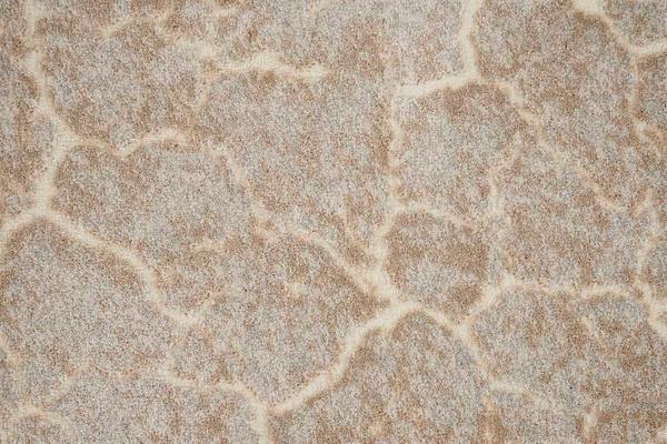 Nourison PERSPECTIVES STONE STNPR SANDSTONE BROADLOOM CARPET