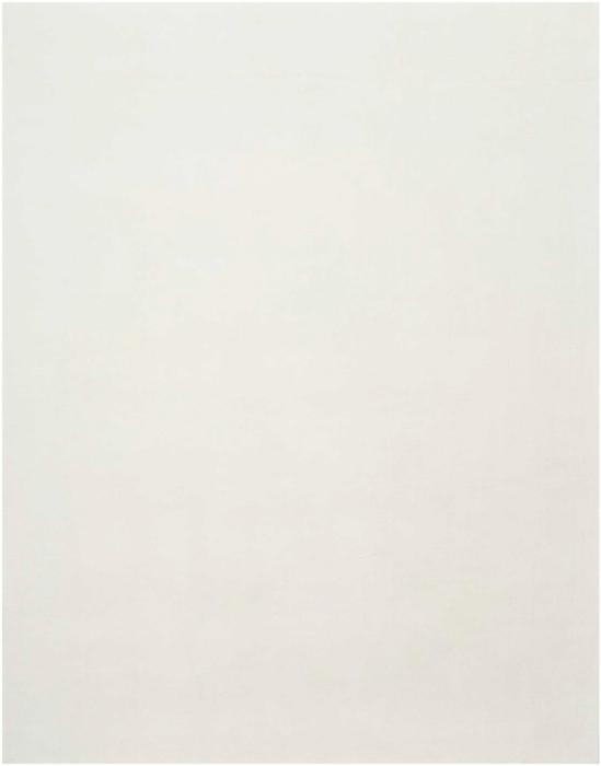 Nourison Plush Cloud Ivory Indoor Only Solid Rug PLC01 Home