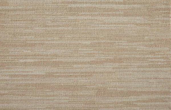 Nourison STYLEPOINT NEW HORIZON NWHZ SAND DOLLAR BROADLOOM CARPET
