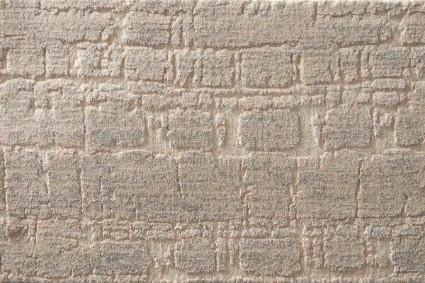Nourison TIDAL EBB TIDE EBBTD SHELL BROADLOOM CARPET