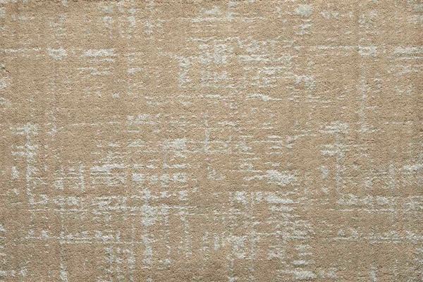 Nourison VELVET TEXTURES VELVET ABSTRACT VLABS TANNERY BROADLOOM CARPET