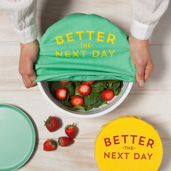 Now Designs Better The Next Day Save It Bowl Covers Set Of 2