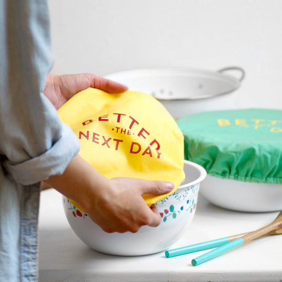 Now Designs Better The Next Day Save It Bowl Covers Set Of 2