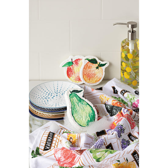 Now Designs Locally Grown Compostable Sponge Counter Display Unit Set Of 24 Assort