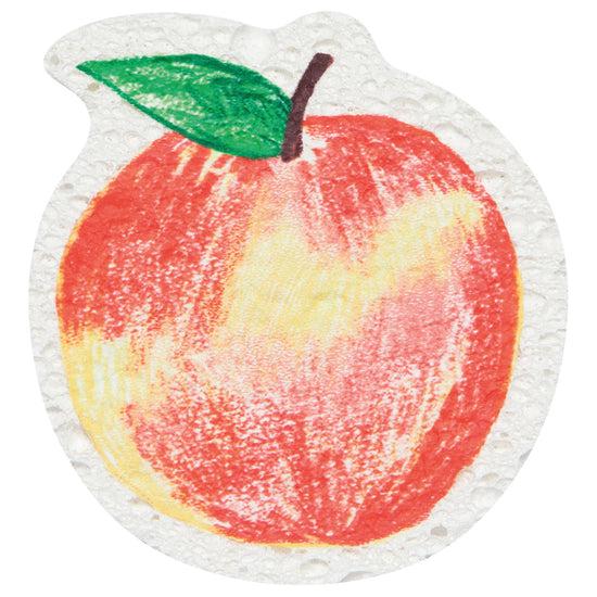 Now Designs Locally Grown Compostable Sponge Counter Display Unit Set Of 24 Assort