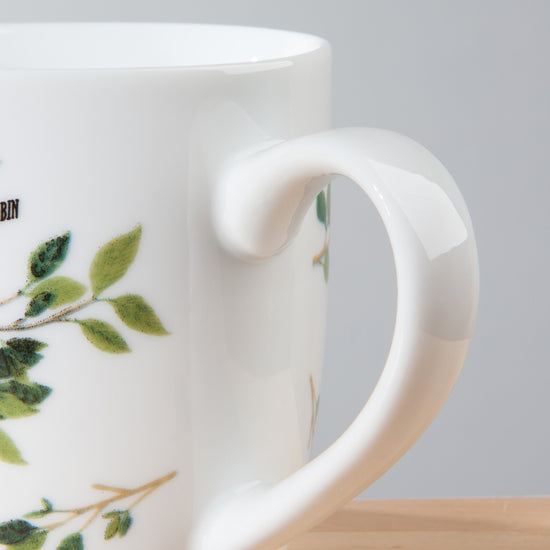 Now Designs Birdsong Mug